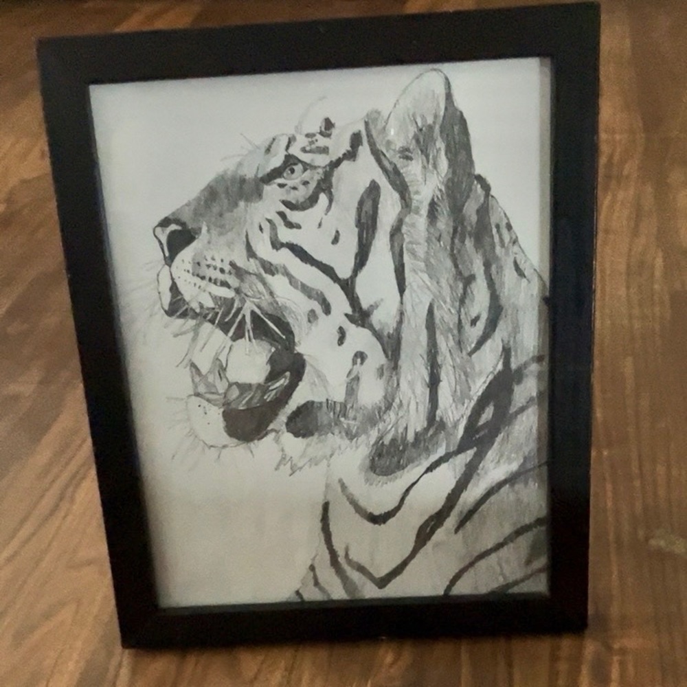 Black Framed Tiger Sketch Wall Art - Picture 2 of 4